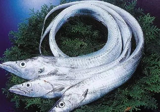 三文魚(yú)多少錢(qián)一斤2017？新鮮三文魚(yú)多少錢(qián)一條2017？