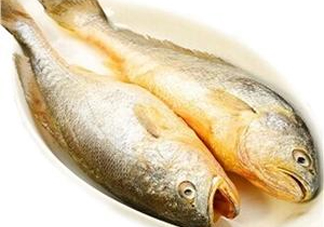 黃花魚多少錢一斤？野生黃花魚多少錢一斤