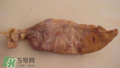 黃唇魚魚鰾是什么？魚鰾是魚的哪個部位