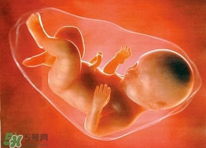 人造子宮能生孩子嗎？人造子宮成功案例