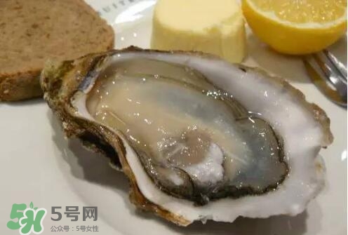 丹麥生蠔能吃嗎？生蠔的吃法大全集