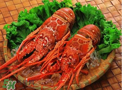什么時(shí)候釣龍蝦最好？龍蝦幾月份能釣？