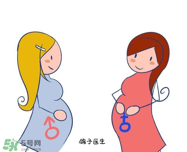 怎么問醫(yī)生胎兒性別？醫(yī)生會告訴胎兒性別嗎？