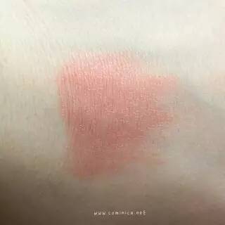 西柚色口紅有哪些？西柚色口紅推薦