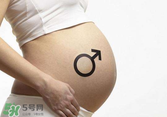 怎么問醫(yī)生胎兒性別？醫(yī)生會告訴胎兒性別嗎？