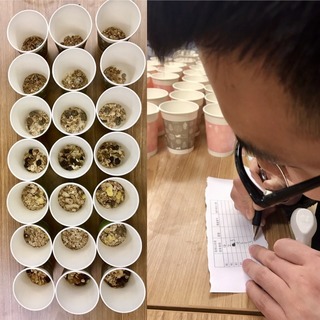 麥片什么牌子好？進(jìn)口麥片哪個(gè)牌子好吃
