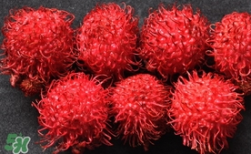 紅毛丹什么時(shí)候上市？紅毛丹什么季節(jié)有？