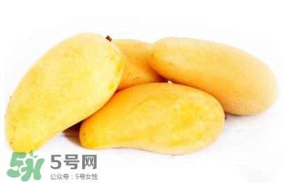 芒果每天吃多少合適？芒果一天吃幾個(gè)為宜
