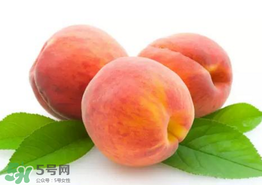 桃子為什么不能和西瓜一起吃？桃子和西瓜為什么不能一起吃？