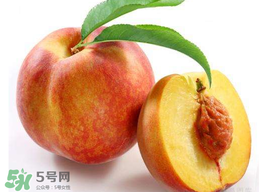 桃子可以放冰箱嗎？桃子能放冰箱保鮮嗎？