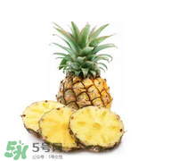 孕婦能吃菠蘿嗎？菠蘿孕婦能不能吃？