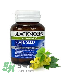 Blackmores葡萄籽吃法介紹 Blackmores葡萄籽怎么吃？