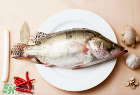 ?五月份吃什么魚？5月份吃什么魚？