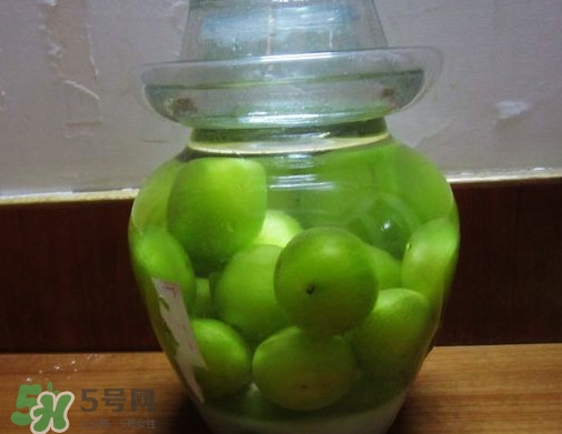 三華李可以泡酒嗎？三華李可以多吃嗎？