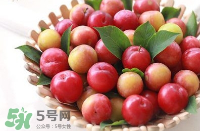 月經(jīng)期可以吃三華李嗎？月經(jīng)期能吃三華李嗎