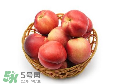 三華李可以泡酒嗎？三華李可以多吃嗎？