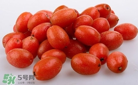 羊奶果可以連皮吃嗎？羊奶果的皮可以吃嗎