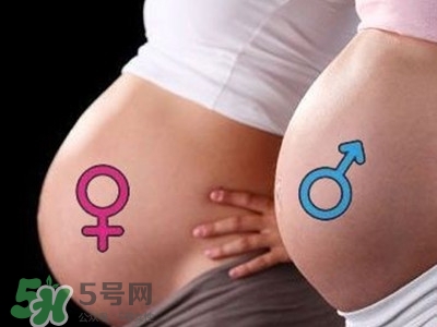 B超單數(shù)據(jù)怎么看男女？B超單看男女準(zhǔn)嗎？