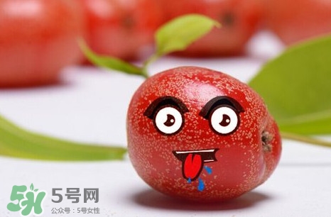 羊奶子有什么藥用價(jià)值？羊奶子有什么功效