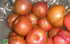 三華李可以泡酒嗎？三華李可以多吃嗎？