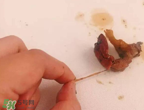 周黑鴨小龍蝦好吃嗎？周黑鴨小龍蝦試吃評(píng)測(cè)