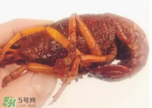 周黑鴨小龍蝦好吃嗎？周黑鴨小龍蝦試吃評(píng)測(cè)