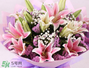 百合花多少錢一支2017？百合花多少錢一束2017？