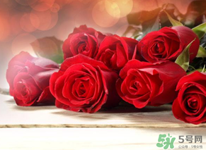 母親節(jié)送什么顏色的玫瑰花？母親節(jié)送幾朵玫瑰花？