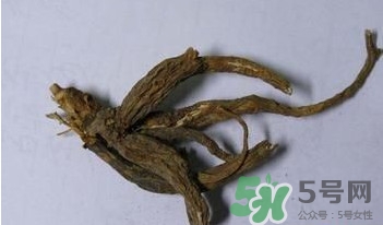 土瓜根是什么？土瓜根粉哪里有賣的？
