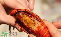 周黑鴨小龍蝦怎么吃？周黑鴨小龍蝦怎么吃圖解？
