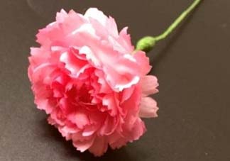 母親節(jié)可以送紙做的康乃馨嗎？康乃馨怎么折？