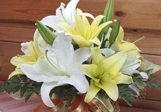 百合花多少錢一支2017？百合花多少錢一束2017？