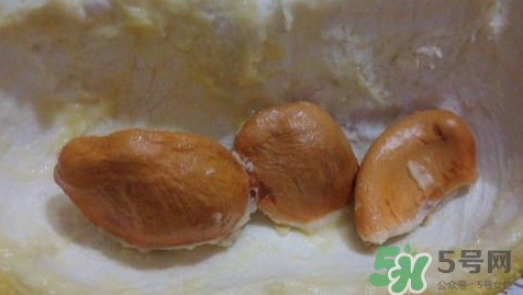 榴蓮核有毒嗎？榴蓮核有什么作用