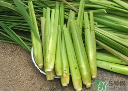 茭白能放冰箱嗎？茭白可以放冰箱多久