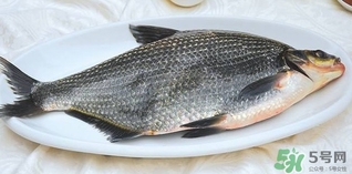 鳊魚怎么做好吃？鳊魚怎么燒好吃
