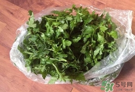 菊花腦怎么做好吃？菊花腦怎么做有營養(yǎng)