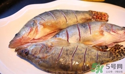 鱖魚是桂魚嗎？鱖魚和桂魚的區(qū)別