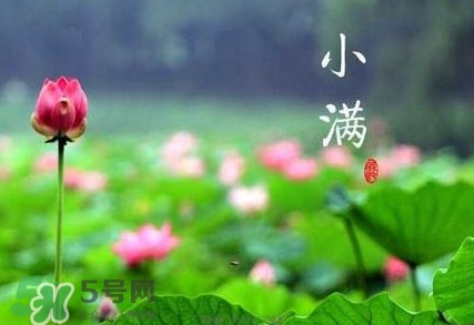 2017小滿是幾月幾日？小滿節(jié)氣養(yǎng)生