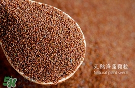 海藻面膜要泡多久最好？海藻面膜要泡多長(zhǎng)時(shí)間？