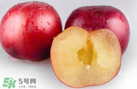 李子可以和西紅柿一起吃嗎？西紅柿和李子能同吃？
