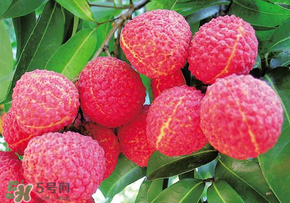 荔枝和蝦能一起吃嗎？荔枝與蝦同食會(huì)中毒嗎？