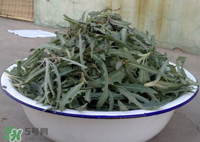 苦苦菜怎么腌制？怎樣腌制苦苦菜？