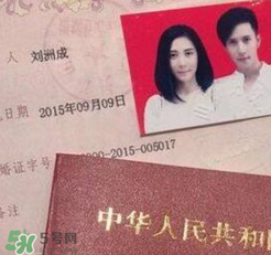 劉洲成老婆是誰？劉洲成老婆為什么離婚？