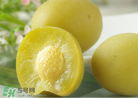 青梅怎么腌制脆青梅？脆青梅的腌制方法