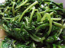 苦菜可以曬干嗎？苦菜怎么曬干？
