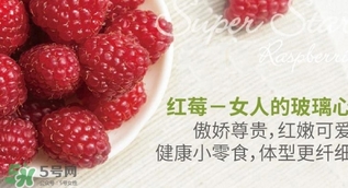 刺泡的熱量 刺泡可以減肥嗎？