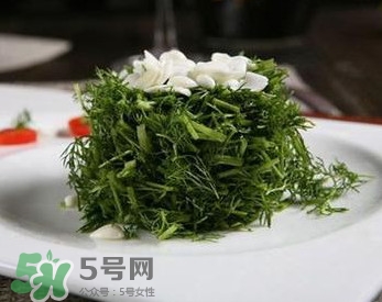 茴香菜怎么做好吃？茴香菜怎么炒好吃