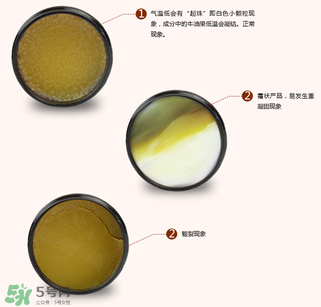地球媽媽護臀膏能擦臉嗎？地球媽媽護臀膏可以擦臉用嗎？