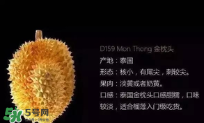 金枕頭和貓山王哪個(gè)好？金枕頭和貓山王的區(qū)別