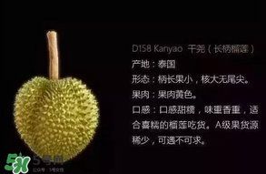金枕頭和貓山王哪個(gè)好？金枕頭和貓山王的區(qū)別